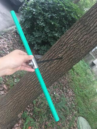 植物生长锥