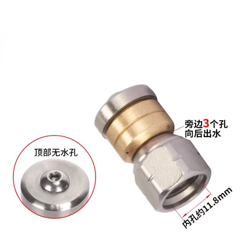 水老鼠